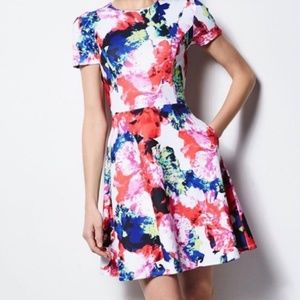 MILLY for DesigNation Abstract Floral Fit & Flare